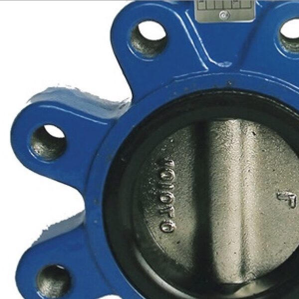 Close up of butterfly valve